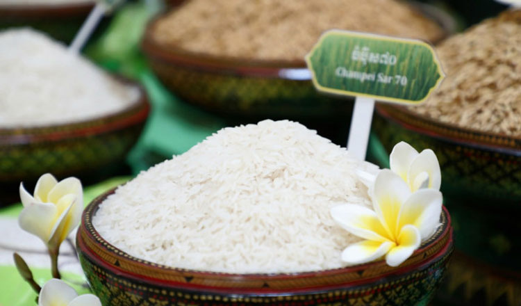 Cambodia’s milled rice exports surge 67.5% in 1st 8 months of 2026